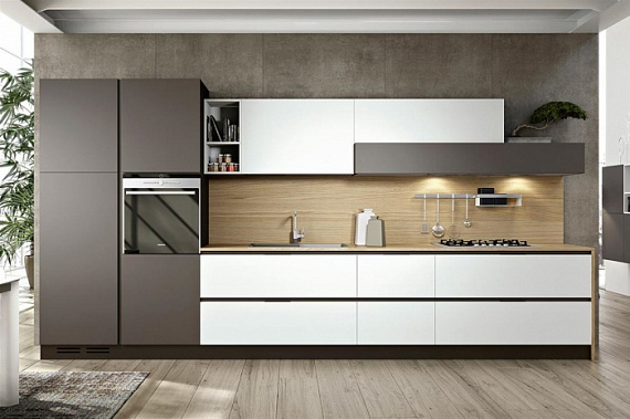 FENIX NTM 006
