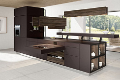 FENIX NTM 007